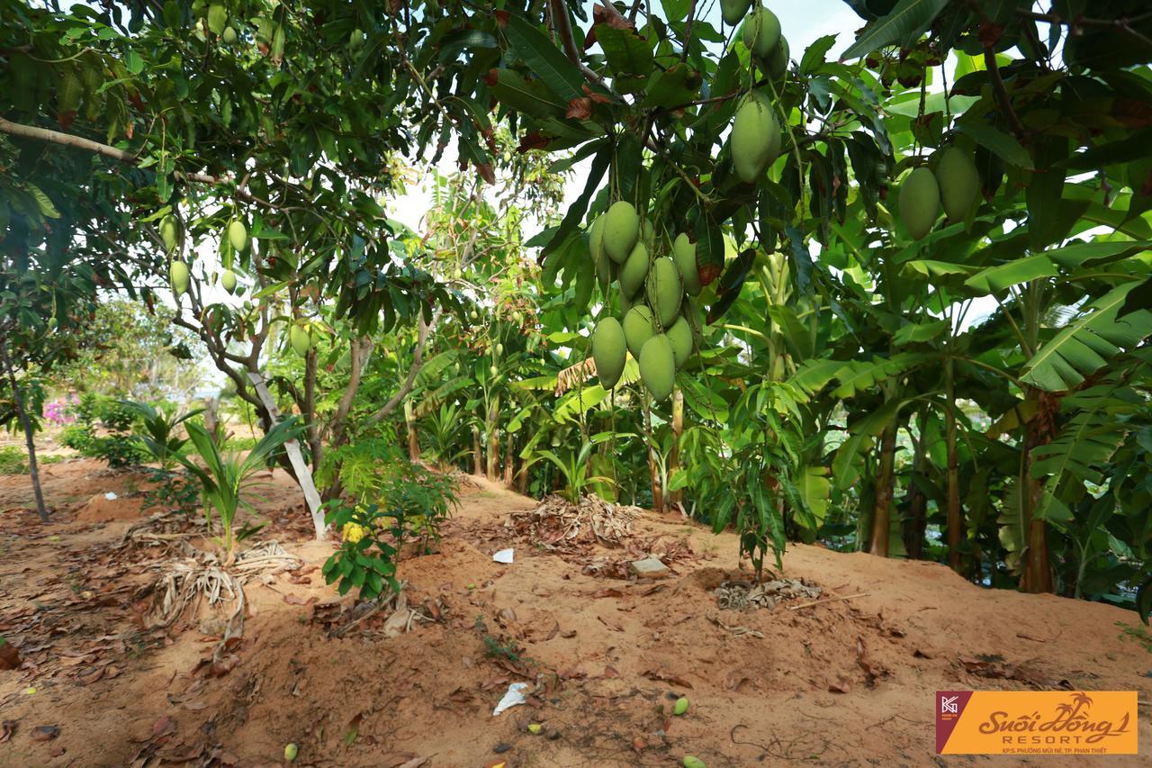 Suoi Hong Resort Mui Ne Exterior photo
